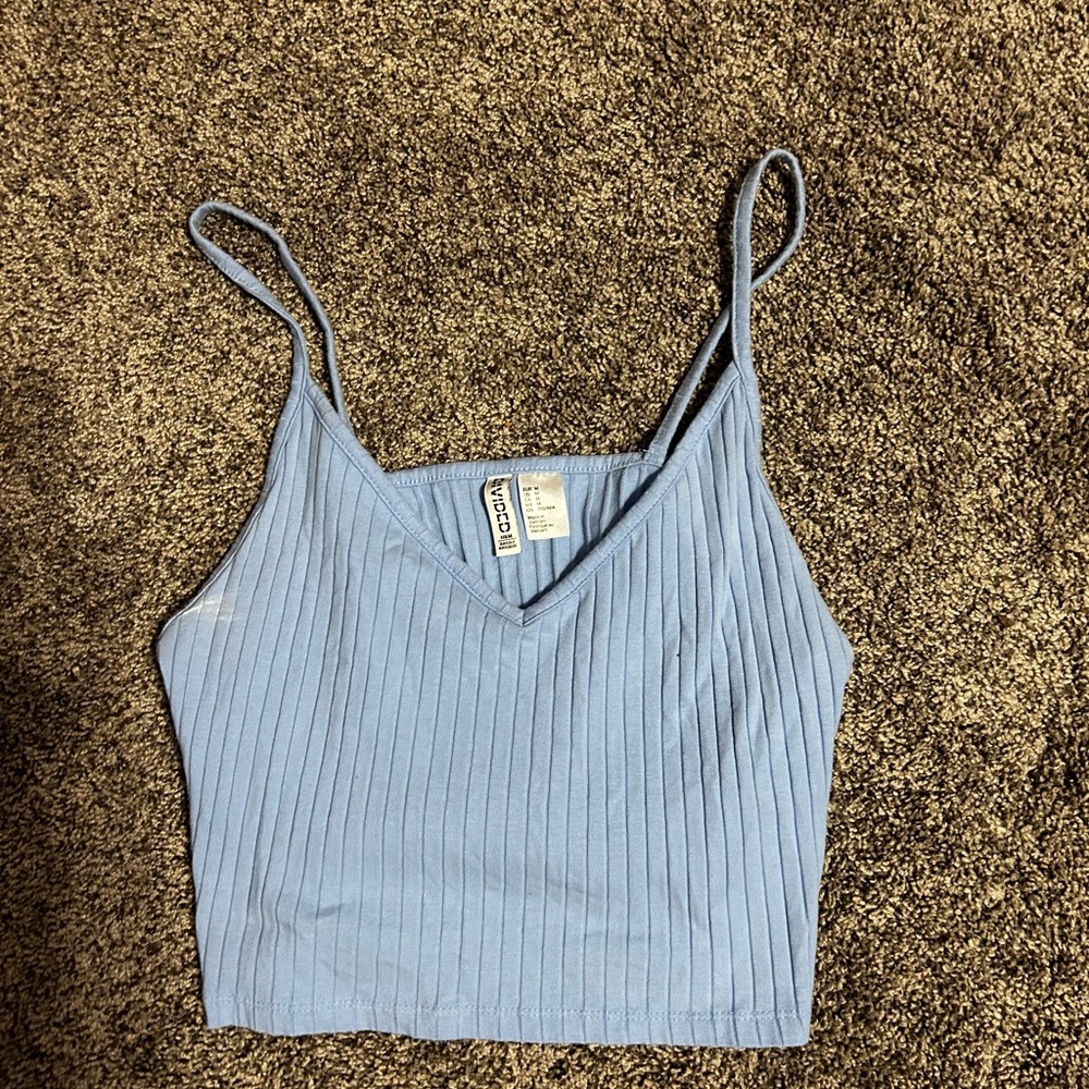 Blue Brandy Melville Ribbed Crop Top